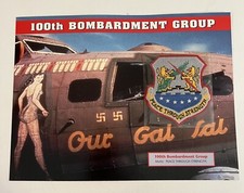 Emblems Of Air War Patch 100th Bombardment Group “Peace Through Strength”