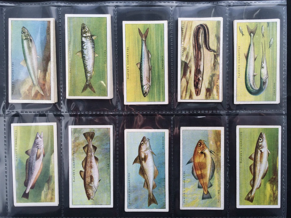 PLAYER'S - SEA FISHES 1935 (G/F) ***PICK THE CARDS YOU NEED*** - Image 4 of 4