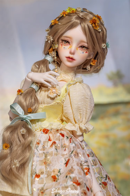 1/4 Handmade Resin BJD SD Ball Joint Dolls Women Girl Gift Seekly