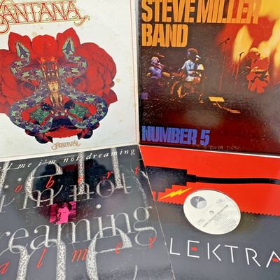 Vintage Vinyl Lot ~ Rob. Palmer Santana Steve Miller J. Mellencamp