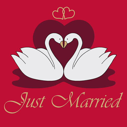 Fußmatte Hochzeit 40x60 Just Married Schwäne Schwan Fußmatten Waschbar Türmatte - Bild 2 von 4