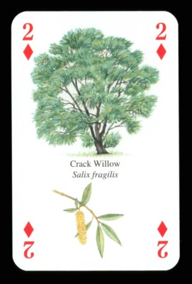 1 x Spielkarte - Crack Willow Tree - 2 of Diamonds ZU 16