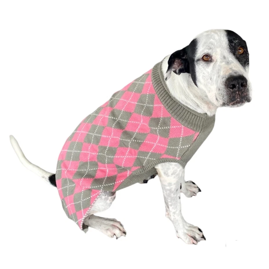 Sweater for large clearance dog