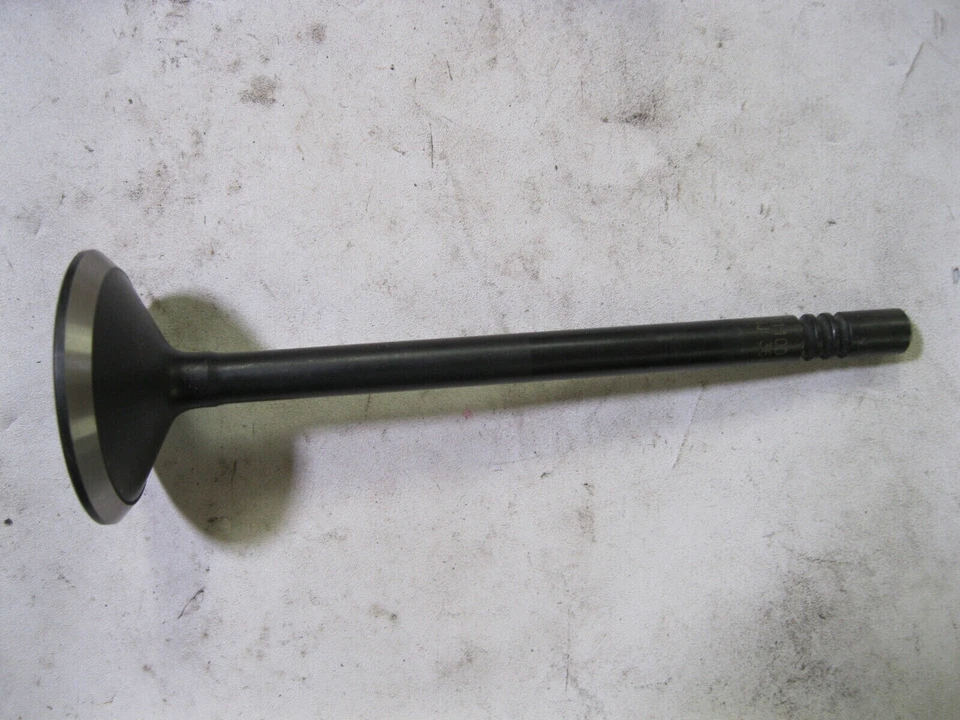 Engine Exhaust Valve DNJ 3617 Foto 2 de 4