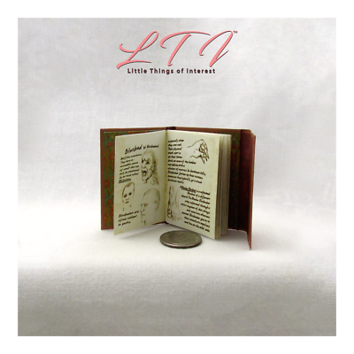 7 Libri In Miniatura Realistici "Letture Assegnate" Per Bambole - Foto 10