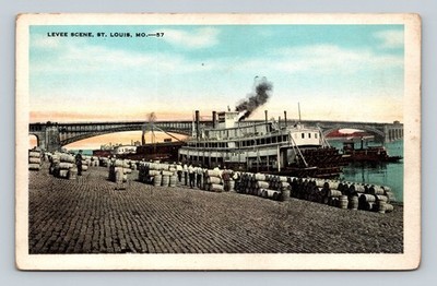 Vintage Levee Scene St. Louis Missouri 3.5x5.5 Litho Postcard