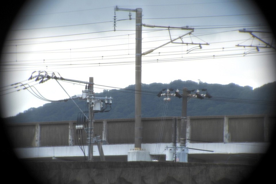 Nikon Nippon Kogaku Binoculars 7x50 7.3° Coated with Leather Case from