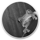 2 x Vinyl Stickers 20cm (bw) - Cool Green Frog Nature Frogs  #39477