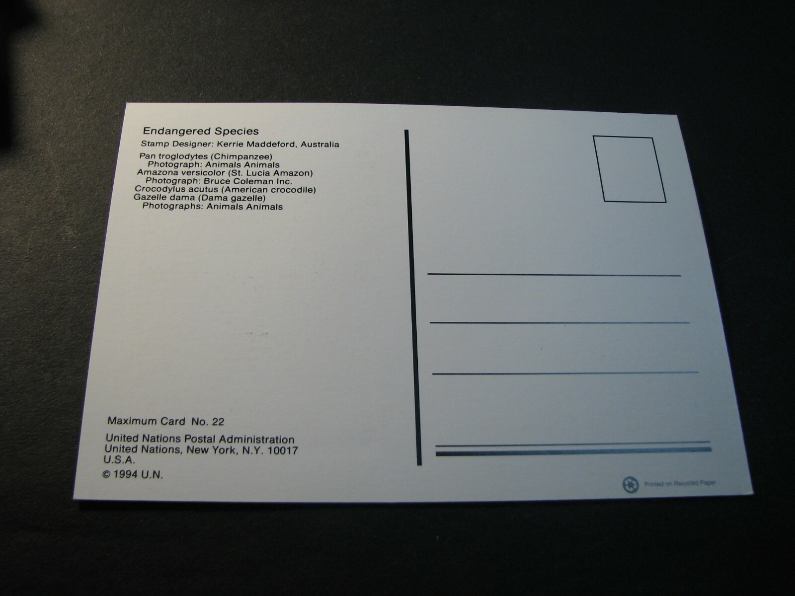 Bild 2 von 2