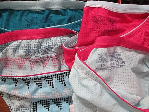 New Hanes,FruitLoom Etc Size 10/L Girls' Bikini Briefs 4 Pk Your Choice of Group - Picture 79 of 157