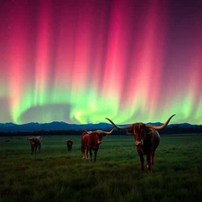 Northern Lights 5 Digital Images  Wallpaper Background Desktop Art Download 