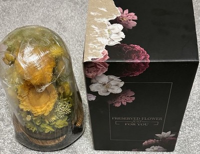 Preserved Sunflower Real Flowers In Glass Some 8 Inches Tall