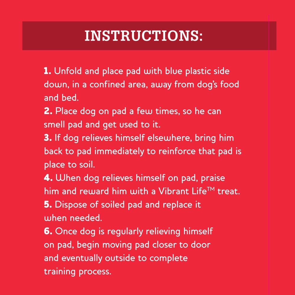 Vibrant Life Training Pads, XL, 26 in X 30 In, 30 Count eBay