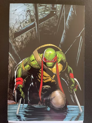 🔥Teenage Mutant Ninja Turtles #75 Humberto Ramos Virgin Variant IDW NM🔥