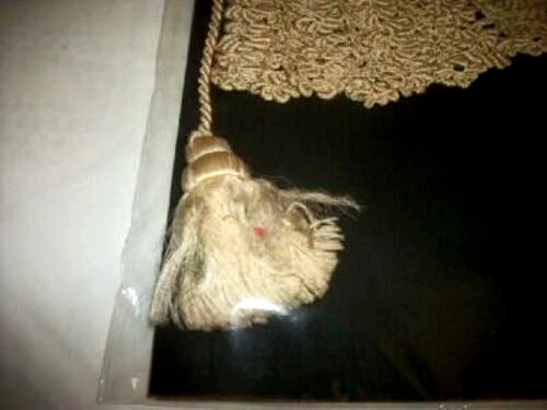 GORRA VICTORIANA ANTIGUA SEDA CRUDA BEBÉ GORRO GANCHILLO SEDA HECHA A MANO 1900s Foto 4 de 4