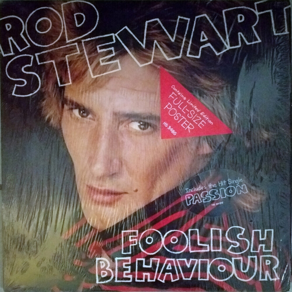 Rod Stewart - Foolish Behaviour - Warner Bros. Records - HS