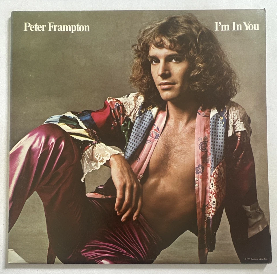 Peter Frampton – I'm In You  12"  Vinyl Album A&M Records EX / EX Condition - Image 2 of 4