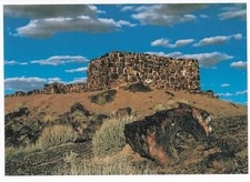 Petrified Forest National Park Arizonia Postcard