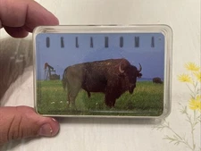 Oklahoma Souvenir Playing Cards