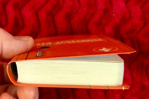 2 New Testament Psalms Proverbs Gideon Pocket Bible Orange 5'' New Mini Bibles - Picture 3 of 4