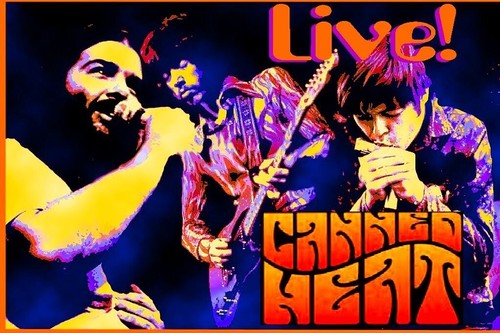 Canned Heat Live Konzerte Rock, Blues 2 DVDs
