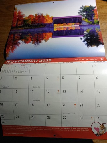 2025 Shiners Kinder Termin Wandkalender 9"x12" landschaftlich - Bild 12 von 14