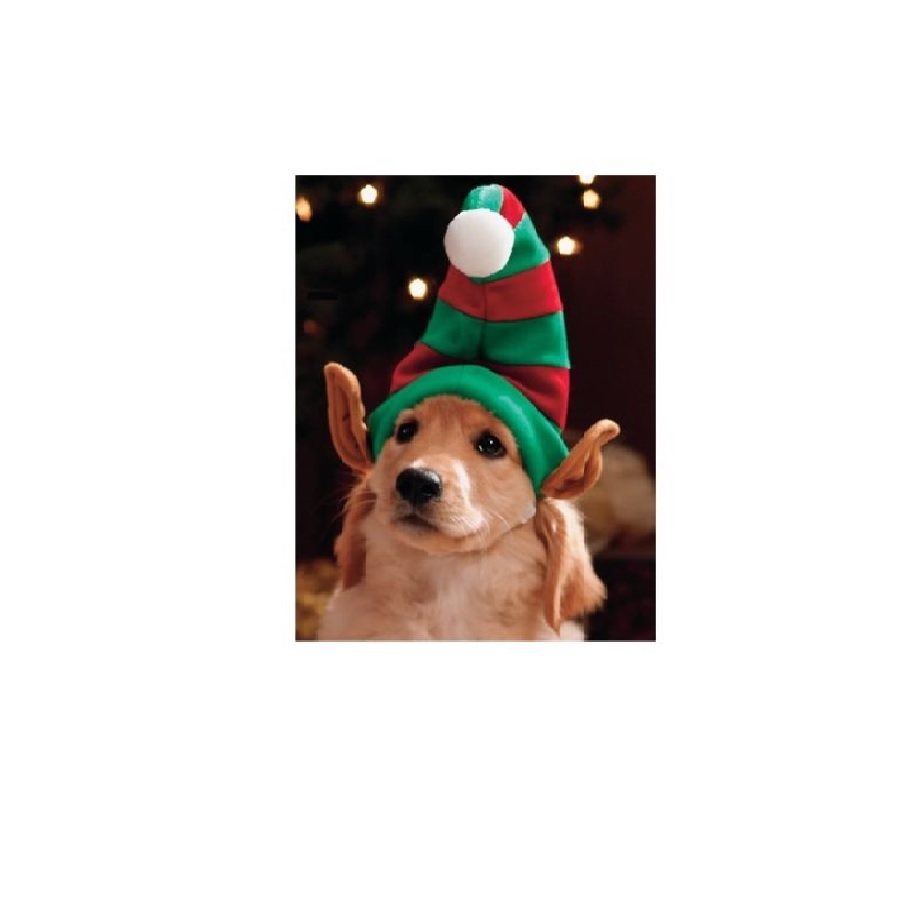 Elf Hat for Dogs Cat holiday headpieces photo op for your pet  family