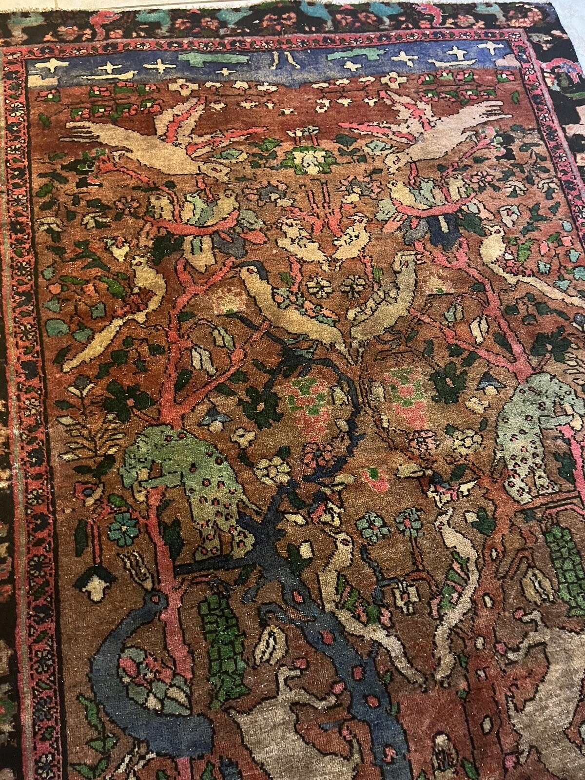 Foto 11 di 11