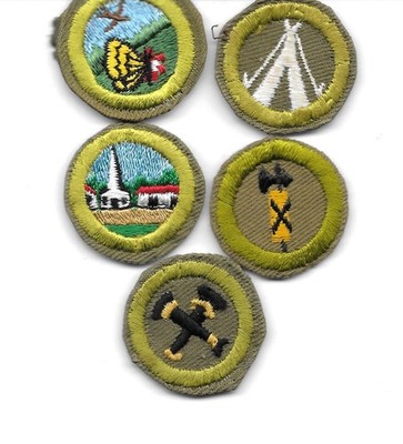 Vintage Boy Scouts Merit Badges Lot of 5