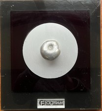 Rare film Award, Art With Apple, Cena Divaka, 1986
