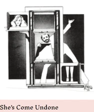 SHE'S COME UNDONE - ILLUSION BUILDING PLANS -  OSBORNE