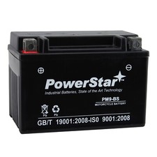 PowerStar YTX9-BS Battery Compatible with Honda TRX250EX Sportrax 2001 to 2008