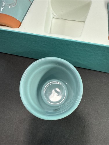 Tiffany & Co Blau Terrakotta Blumentöpfe 3er Set Übertöpfe 3" - Bild 5 von 10