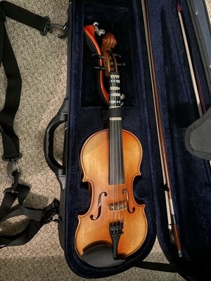 D Z Strad Violin Model 101 Handmade with Case, Bows, and Shoulder Rest