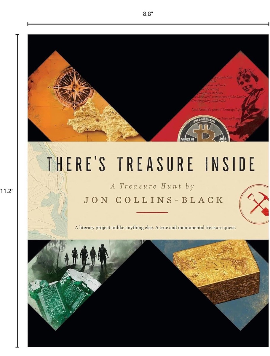 There's Treasure Inside: A Treasure Hunt by Jon Collins-Black IN