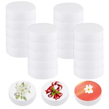 18 Pack 3 Inch Foam Circles for Crafts,1 Inch Thick Round Polystyrene Discs, ...