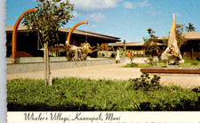 Whaler's Village Museum Sperm Whale Skeleton Kaanapali Maui HI Postcard UNP 4x6