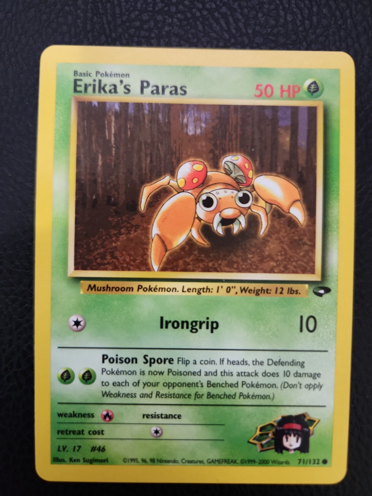 Erika's Paras 71/132 Gym Challenge Regular