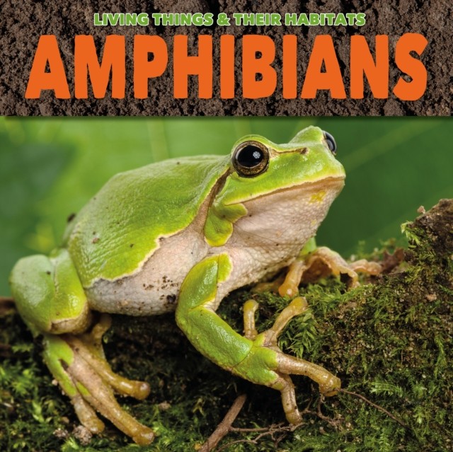 Amphibians Grace Jones - Image 3