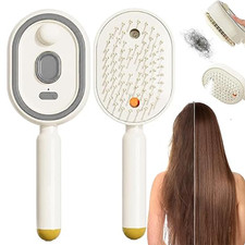 2026 New 3in1 Electric Steam Brush, Electric Steam Brushs for Hair, Rechargeable