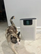 Air Purifier FETIONS HY4866 True HEPA Filter for Home Large Room Up to 1076 Sq