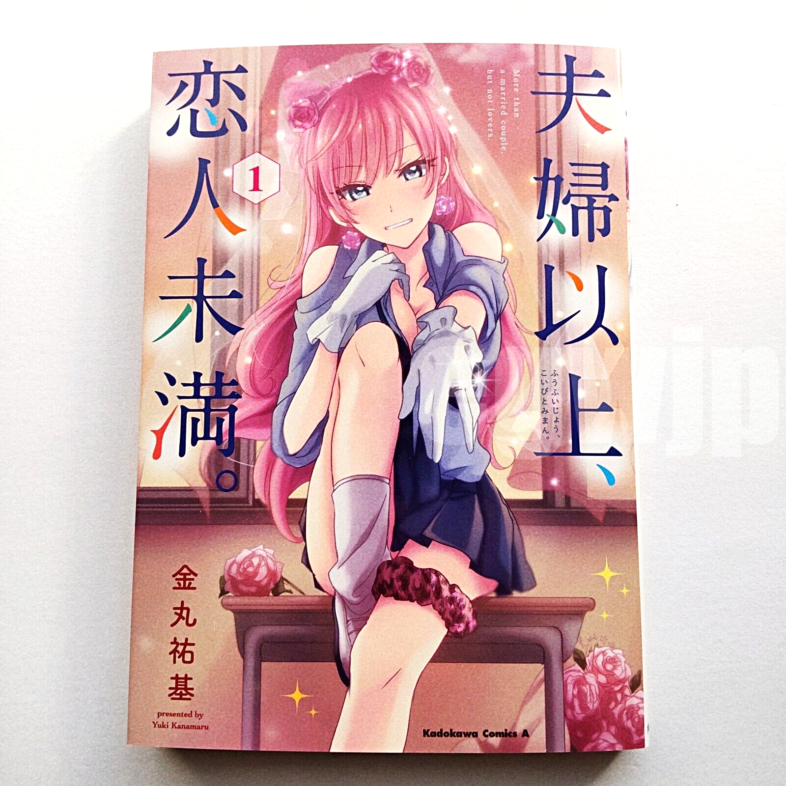 Fuufu Ijou, Koibito Miman Vol.10 - Yuki Kanamaru / Japanese Manga Book  Japan New