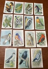 ARM & HAMMER USEFUL BIRDS OF AMERICA 9th SERIES cow brand baking soda set 15