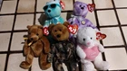 Ty Beanies Teddy Bear 5 Vintage : Clubby VIII, Hero, Picnic, Sherwood, Sweetling