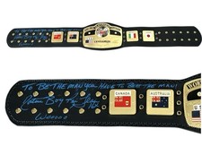 WWE NWA RIC FLAIR SIGNED DOMED GLOBE CHAMPIONSHIP BELT INSCRIBED WITH PIC PROOF