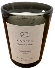 4-Target Project 62 Cancer  The Brave Crab 8oz Candle Warm Amber-Coconut Soy Wax