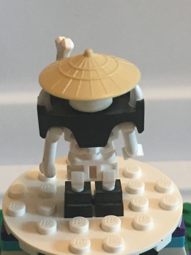 LEGO- NINJAGO- SKELETONS- SKULKINS- MINIFIGURES- YOU PICK FROM LIST- CHOOSE MINI - Picture 62 of 64