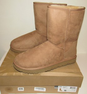 ebay uggs size 8