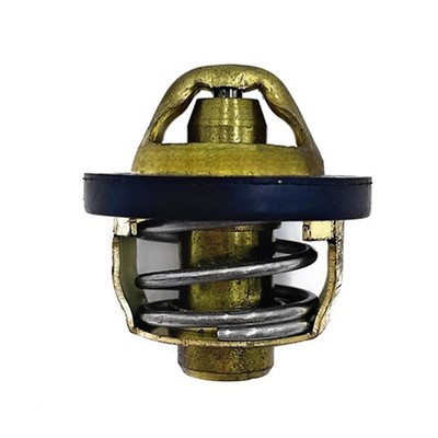 NEU Thermostat 0180-022810, 3084940 für CF500 600 X5 U5 X6 Z6 für Linhai 500/550