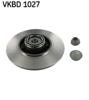 2X Bremsscheibe Hinterachse FüR Renault Grand ScÉNic III Megane Grandtour CC